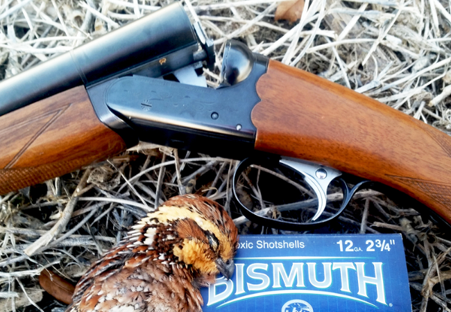 bismuth shotgun shells review - Guns Hunt